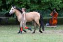 CAvAlle 4 * 3504 x 2336 * (3.59MB)